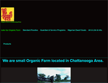 Tablet Screenshot of lakesai.com